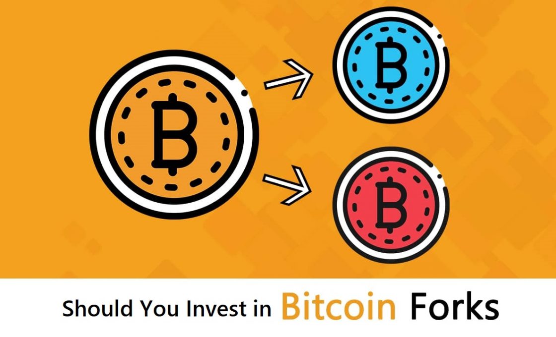 Should You Invest in Bitcoin Forks